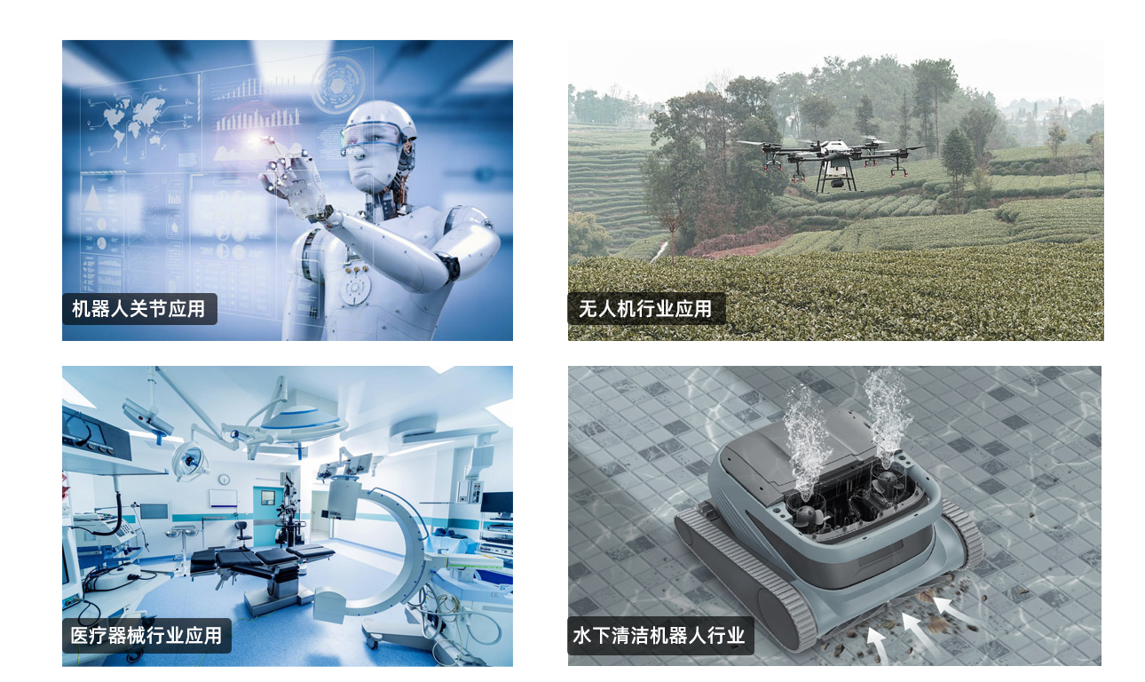 内置摆线针轮减速电机(图1)