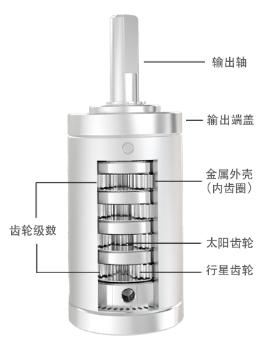 24mm示意图.jpg